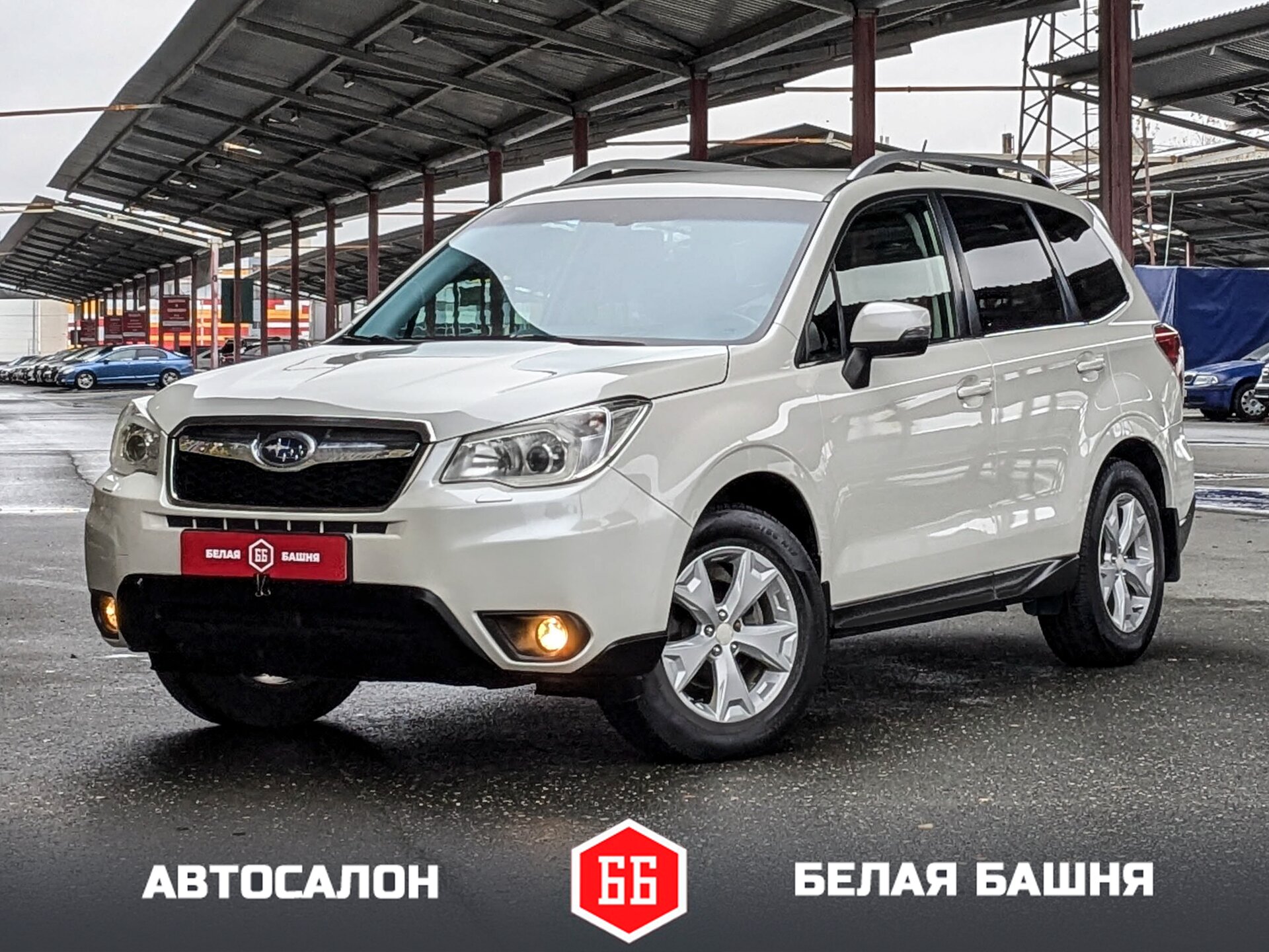 Subaru Forester 2014 Белый