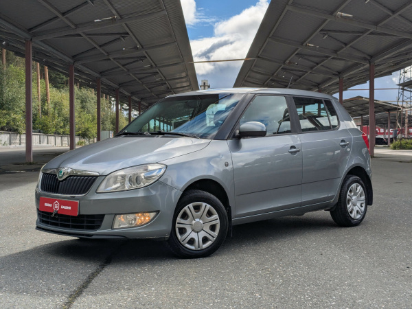 Skoda Fabia 2011 Серый