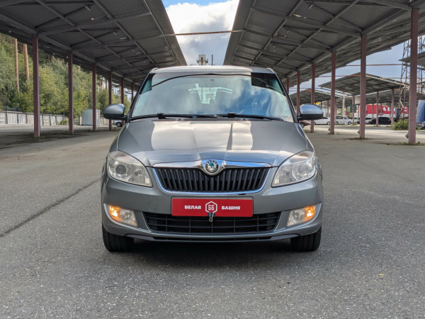 Skoda Fabia 2011 Серый