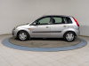 Ford Fiesta 2007 Серый