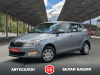 Skoda Fabia 2011 Серый