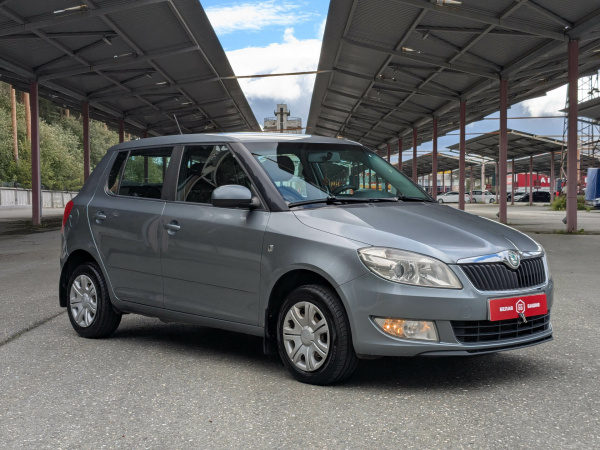 Skoda Fabia 2011 Серый